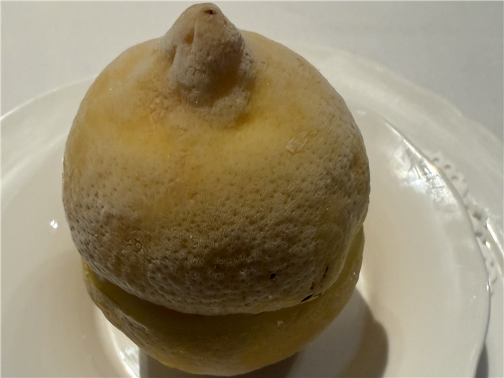 Amalfi lemon sorbet